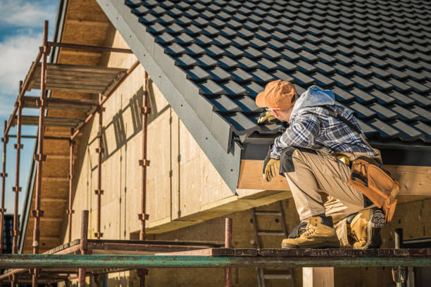 Best Gutter Installation and Roofing  in Machesney Park, IL