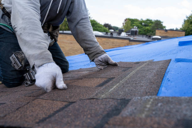 Best Roof Gutter Cleaning  in Machesney Park, IL